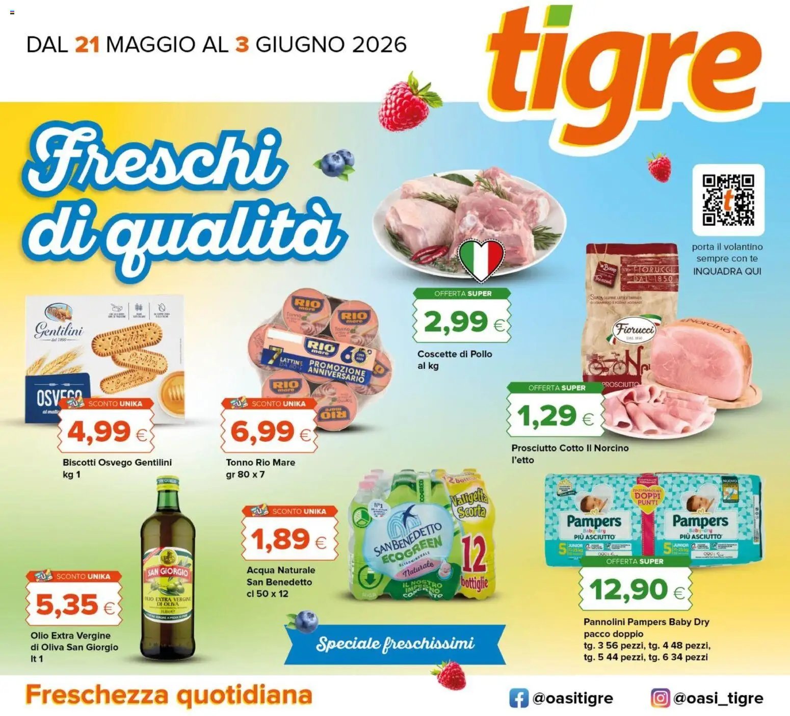 Tigre volantino Lazio
