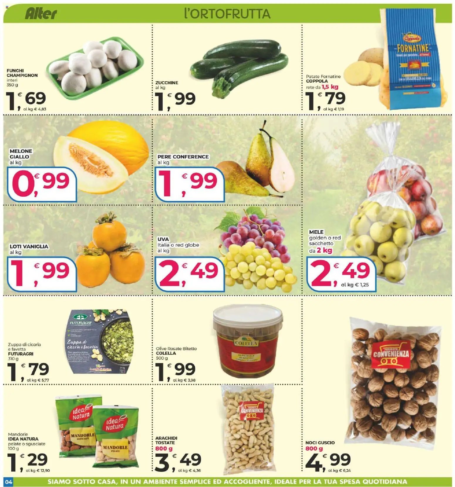 Alter Discount volantino