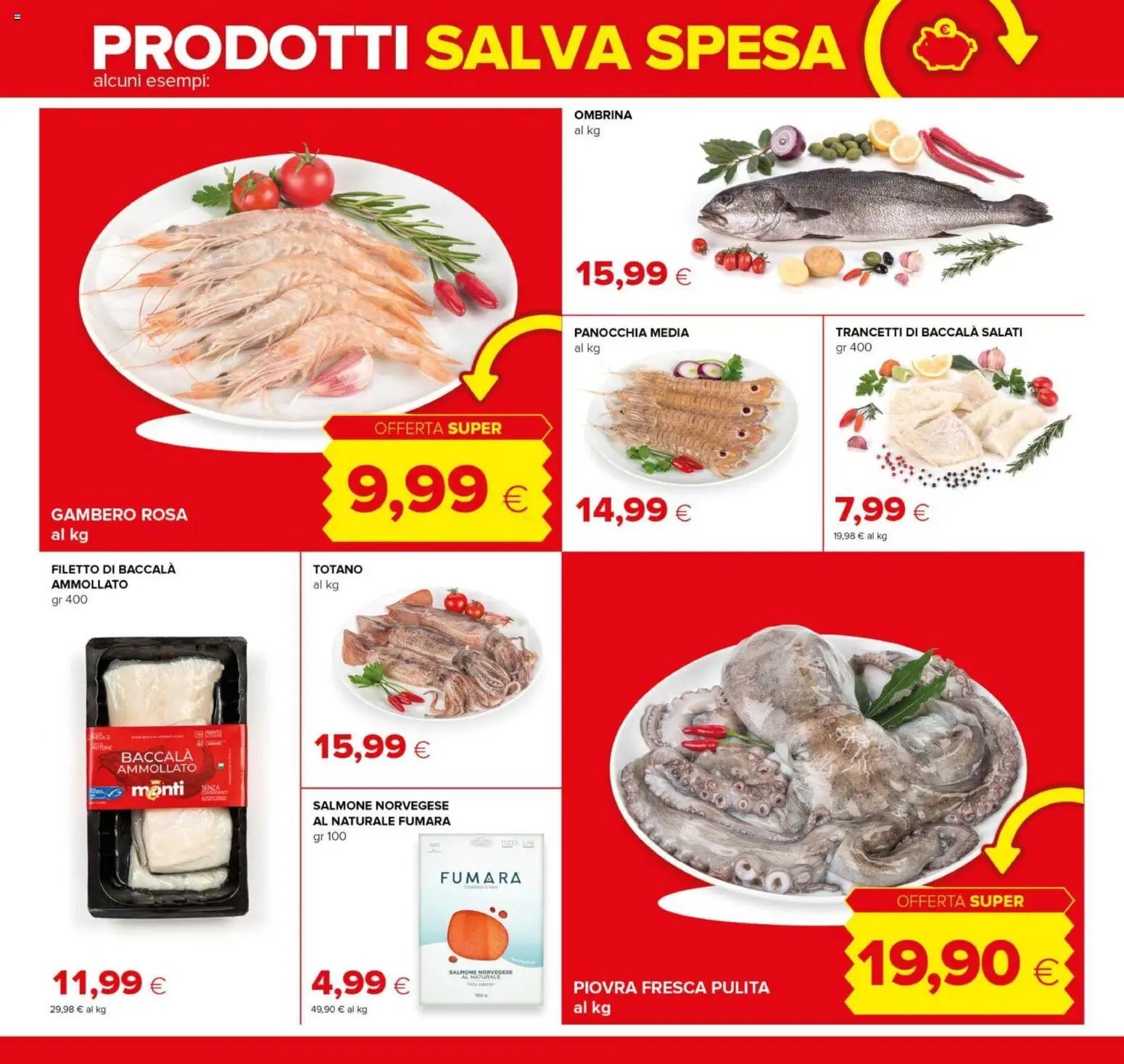 Tigre volantino Jumbo