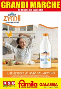 Galassia volantino Grandi Marche