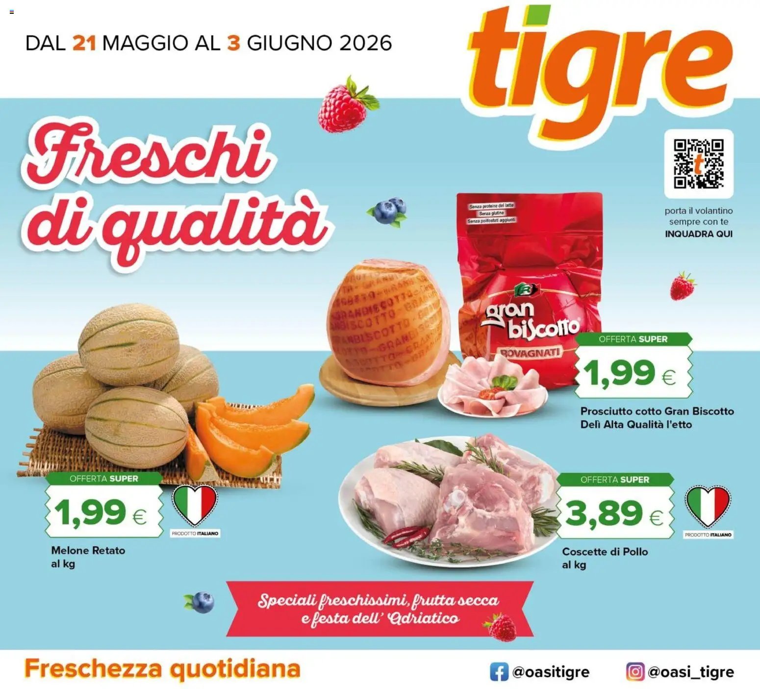 Tigre volantino