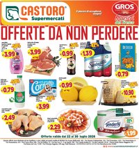 Il Castoro volantino