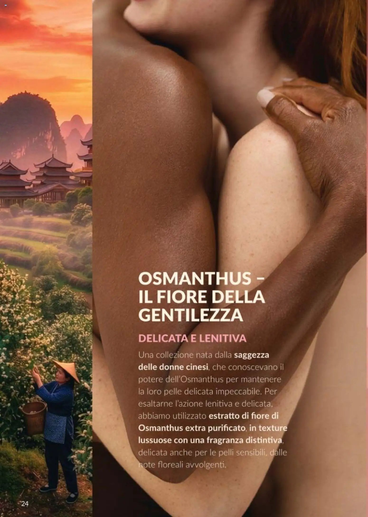 Avon catalogo - campagna 10/2026