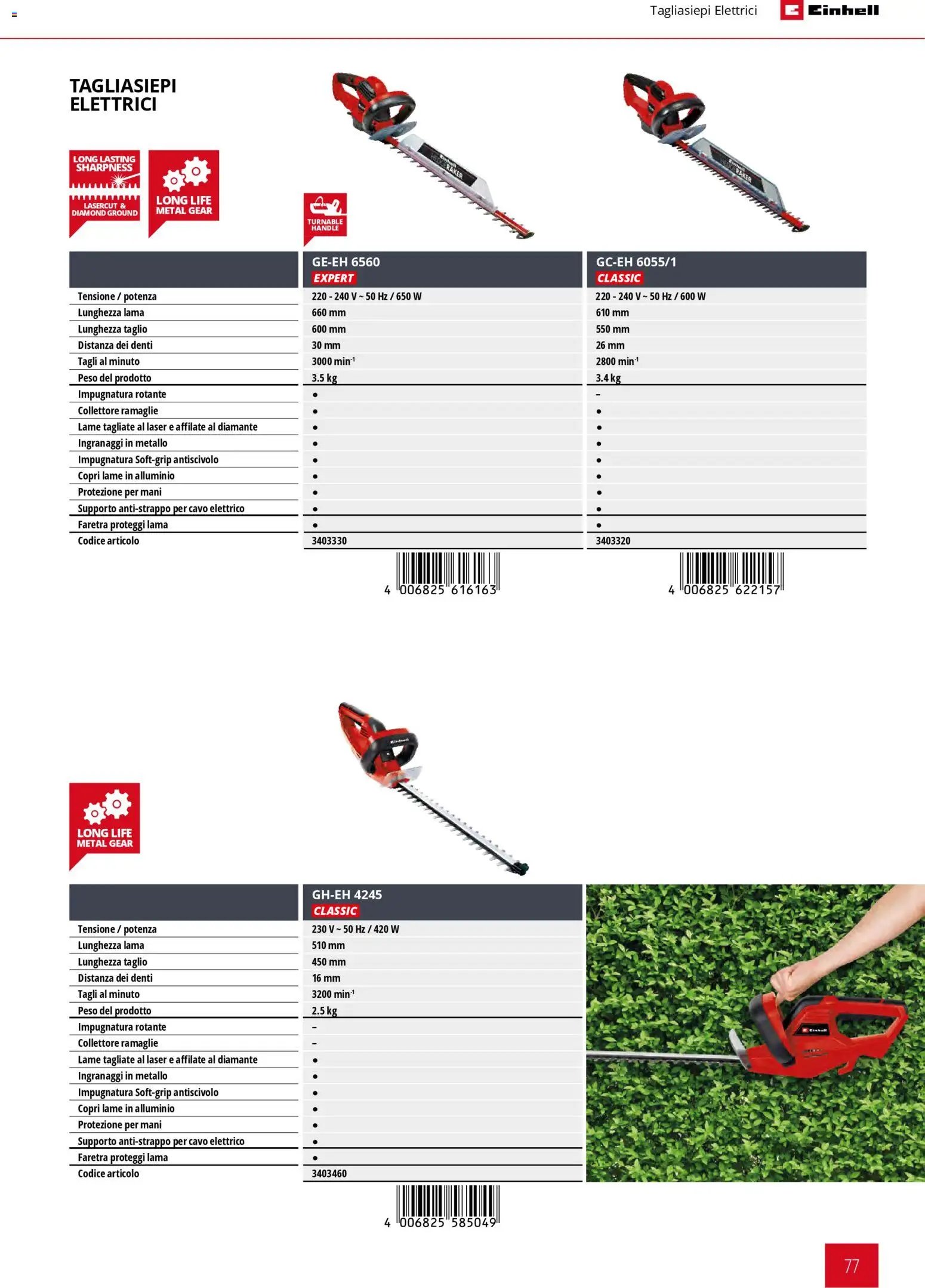 Einhell volantino Giardinaggio (2026-03-02 - 2026-09-30)