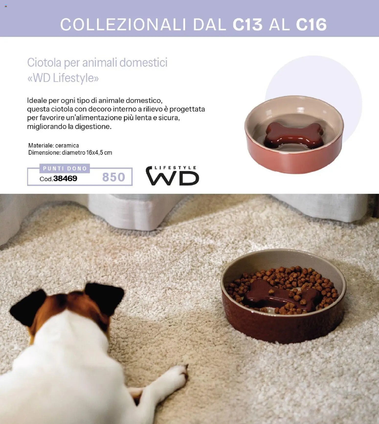 Catalogo Stanhome 14 2026