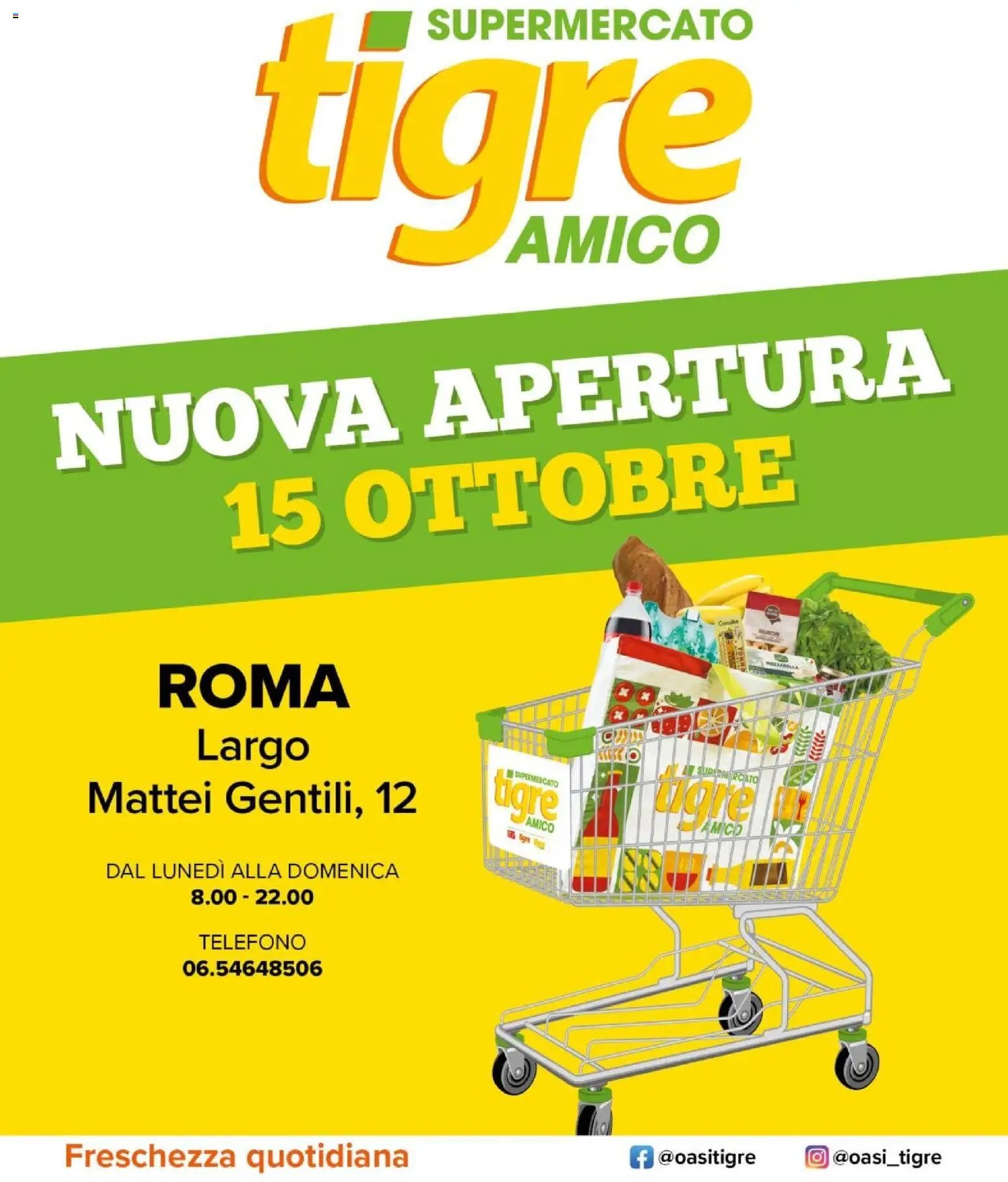 Tigre volantino Amico Roma