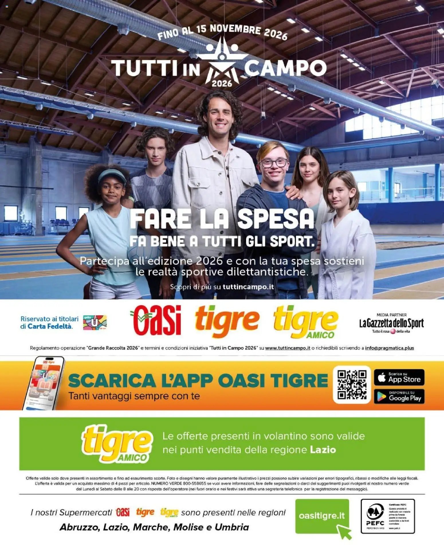 Tigre volantino Amico