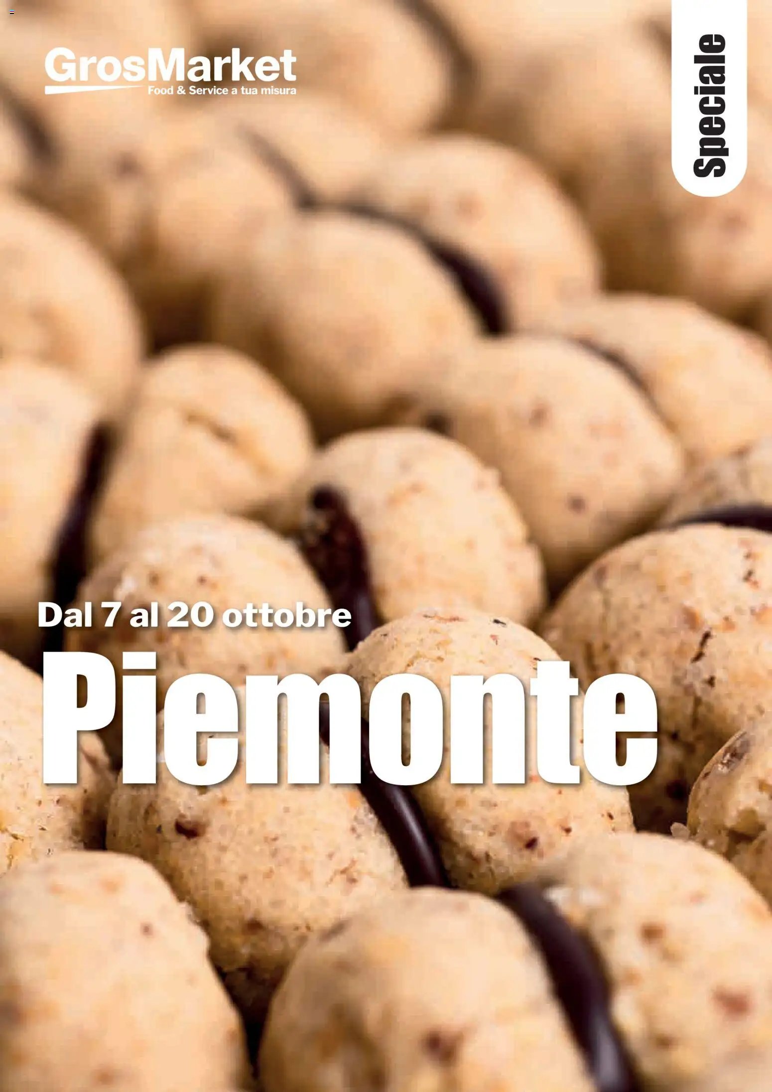 Sogegross volantino Piemonte