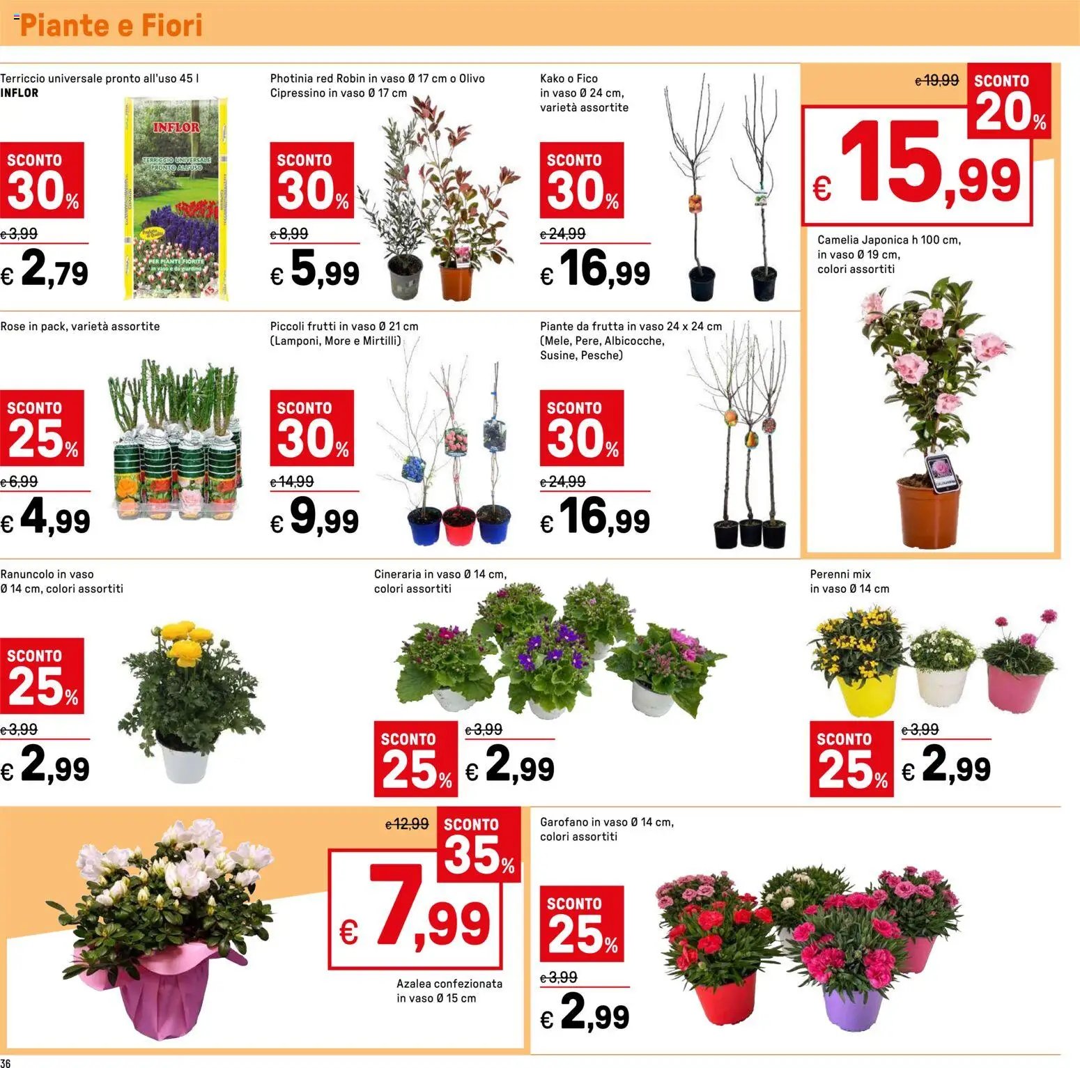 Volantino Iper	 (2026-02-05 - 2026-02-14)