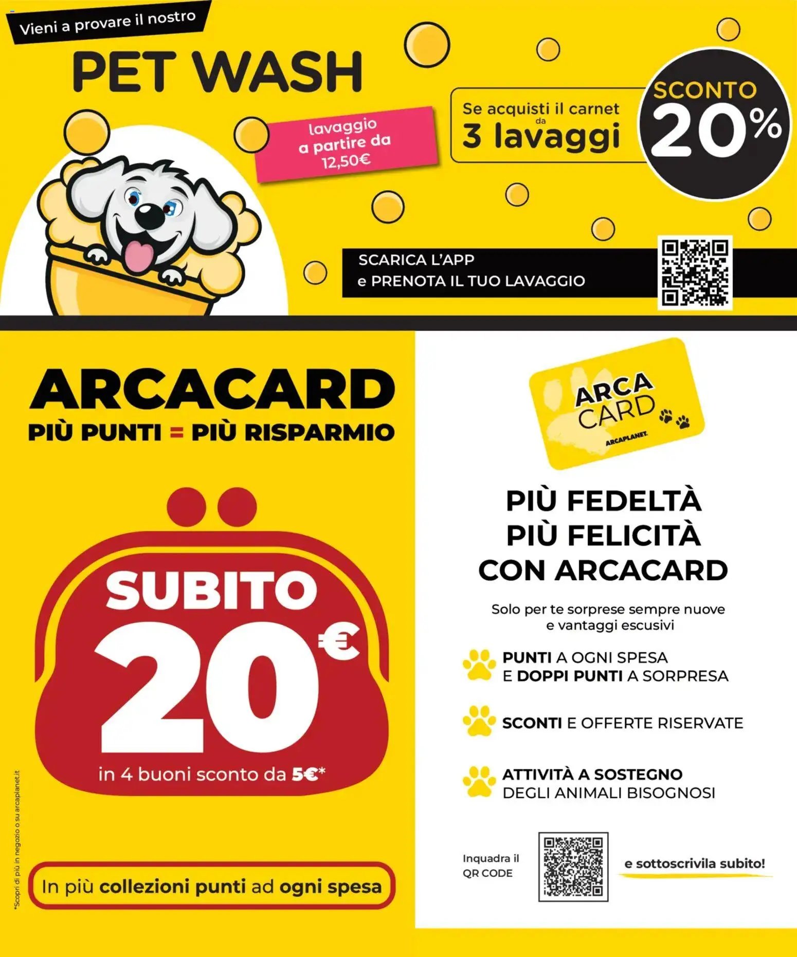Arcaplanet volantino