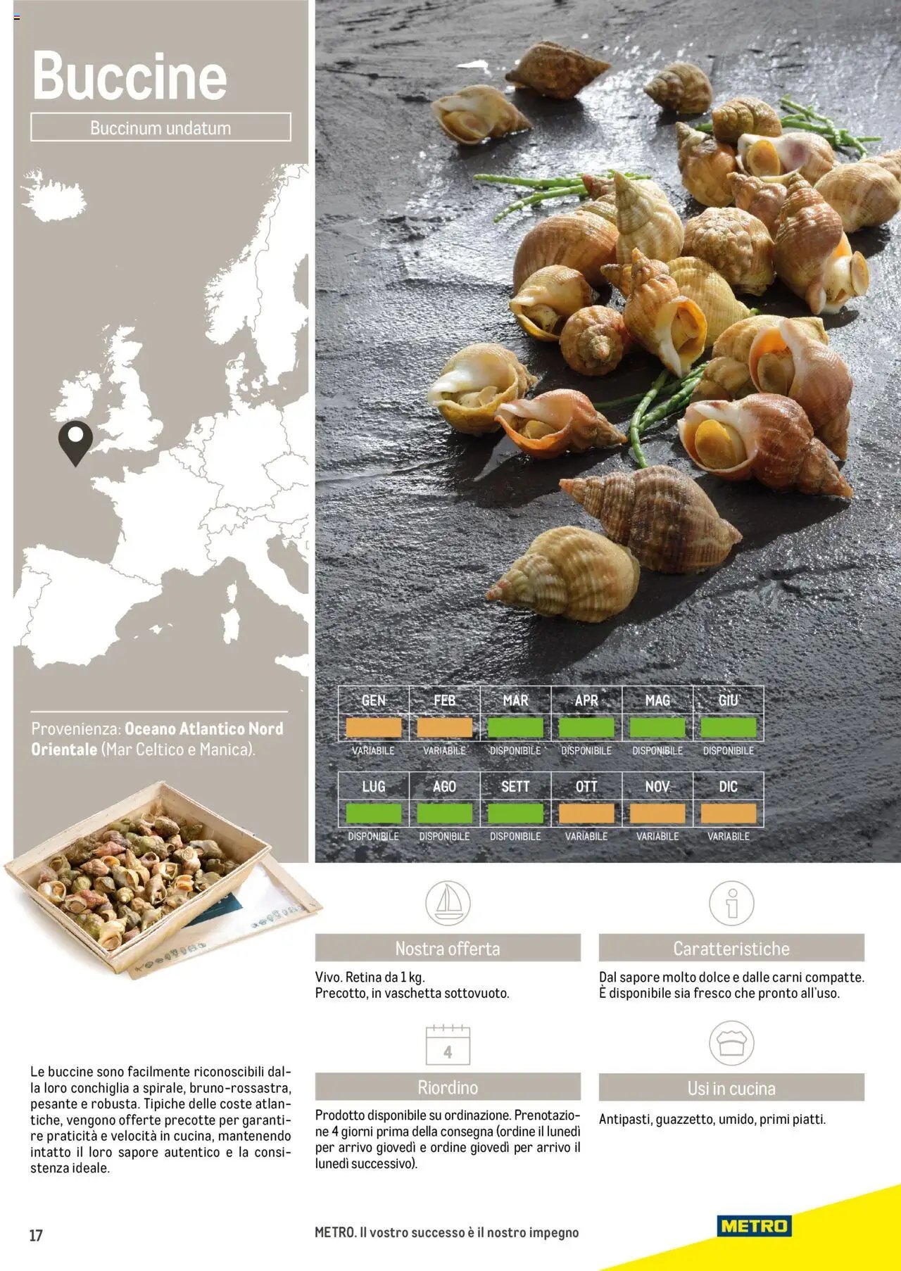 Metro Frutti di Mare catalogo (2025-06-17 - 2026-06-30)