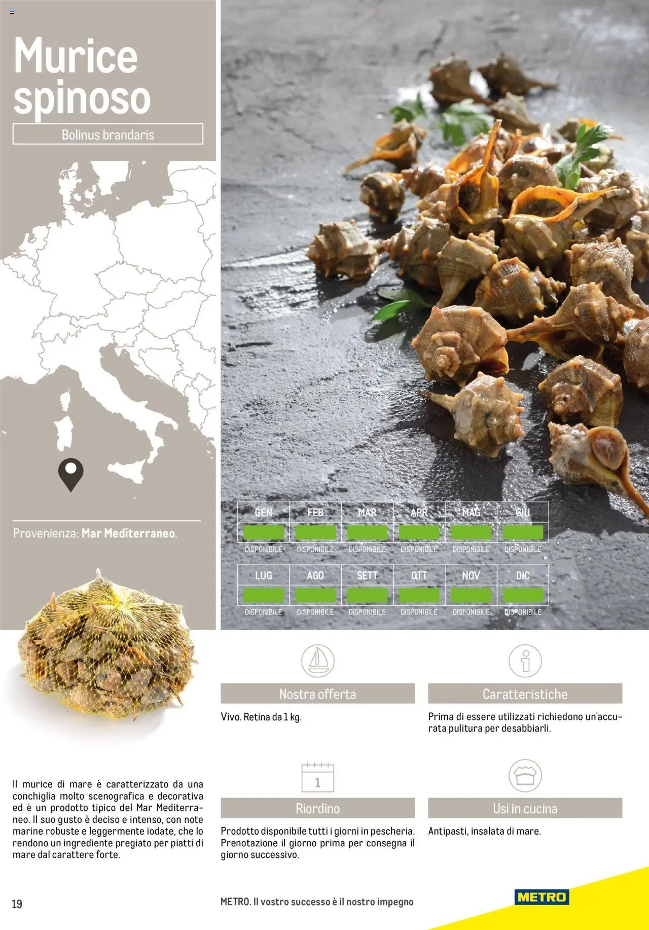 Metro Frutti di Mare catalogo (2025-06-17 - 2026-06-30)