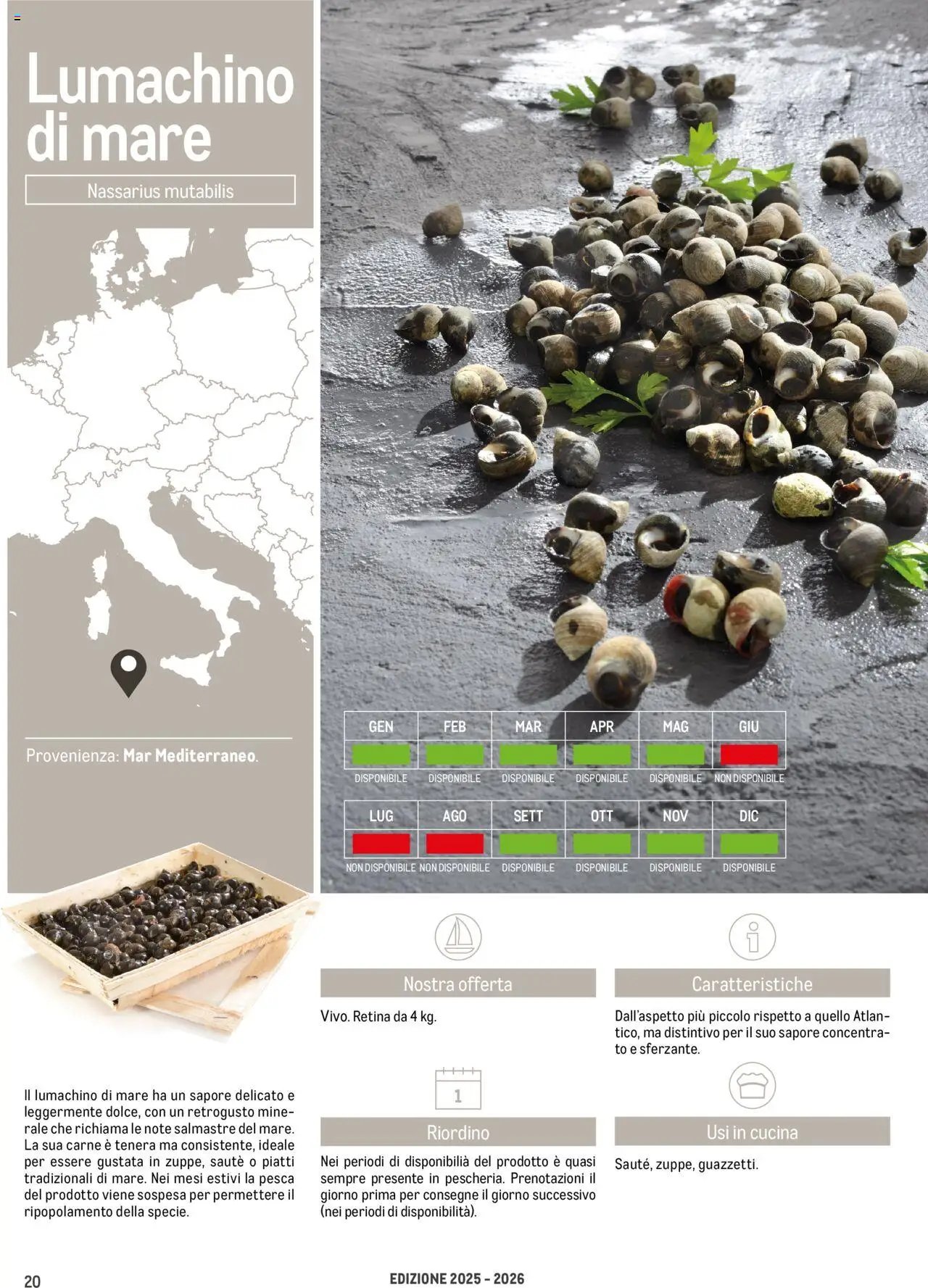 Metro Frutti di Mare catalogo (2025-06-17 - 2026-06-30)