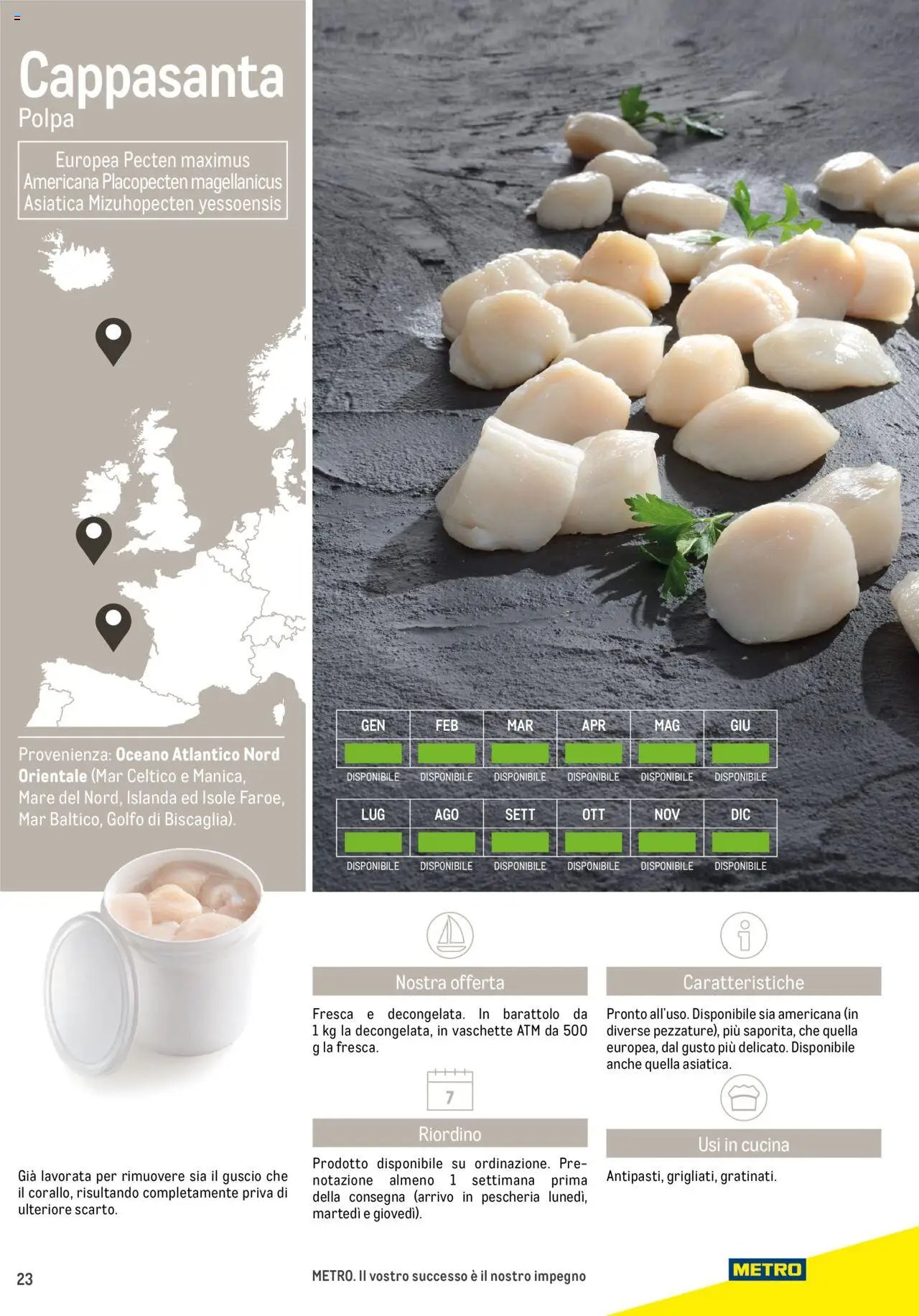 Metro Frutti di Mare catalogo (2025-06-17 - 2026-06-30)