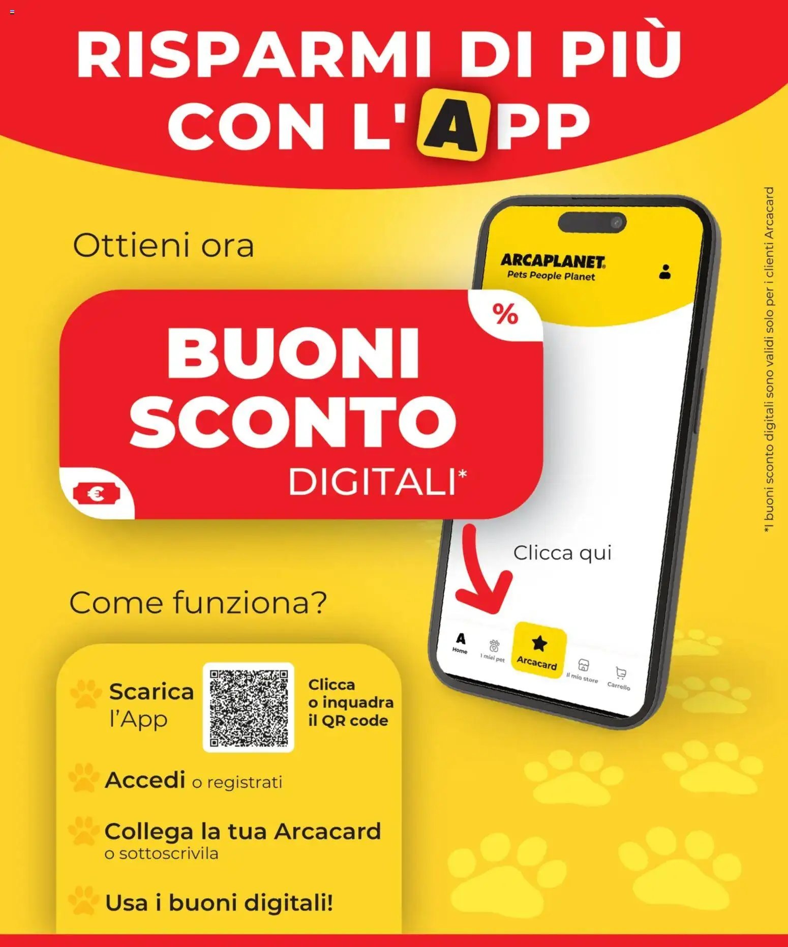 Arcaplanet volantino