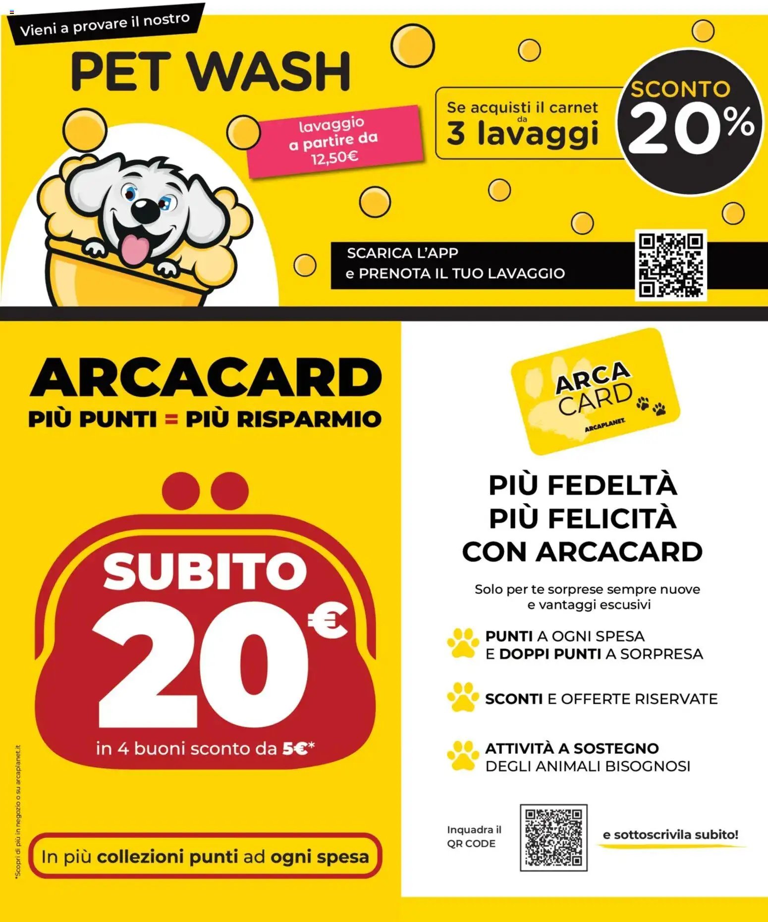 Arcaplanet volantino
