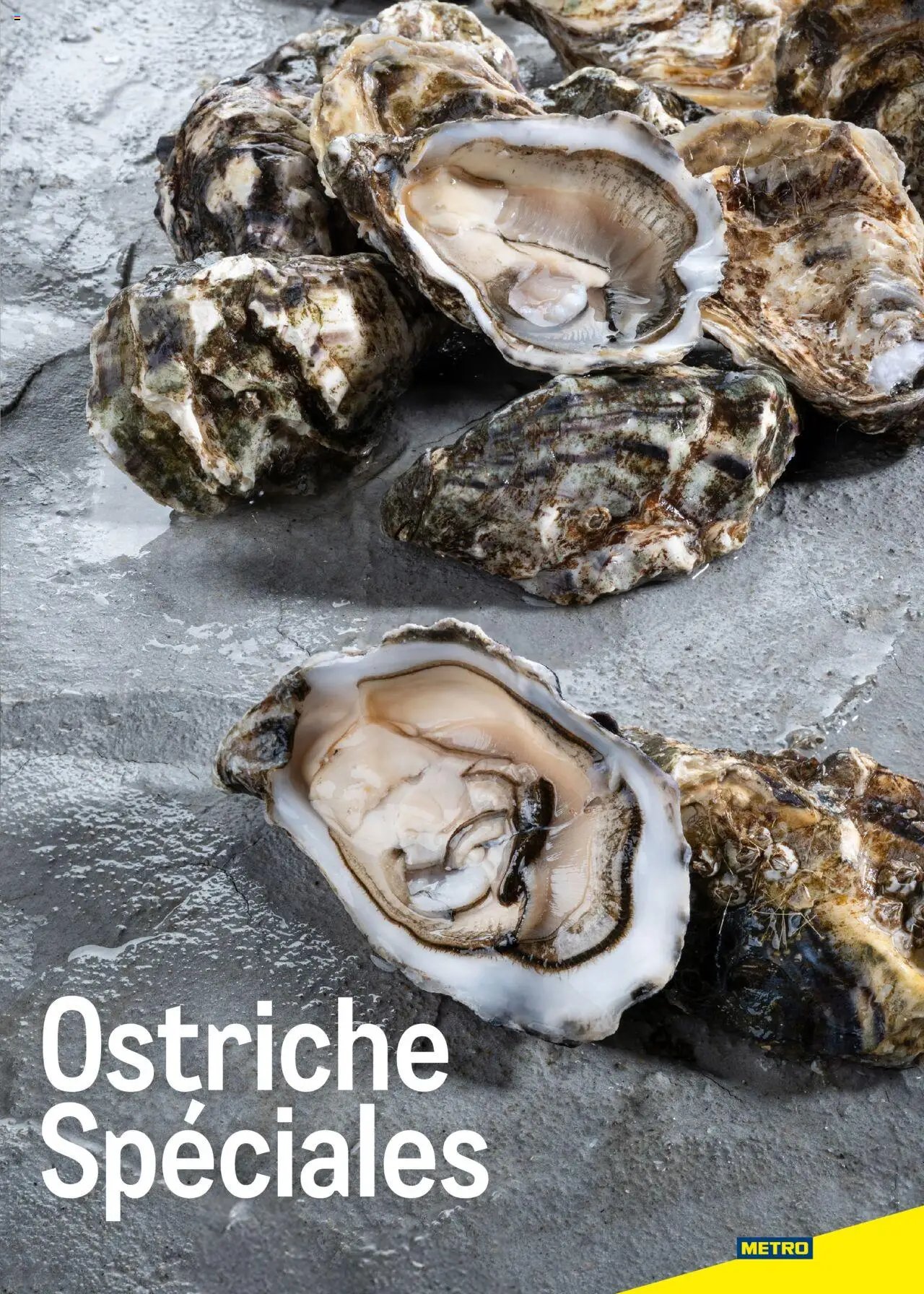 Metro Ostriche catalogo (2025-06-17 - 2026-06-30)