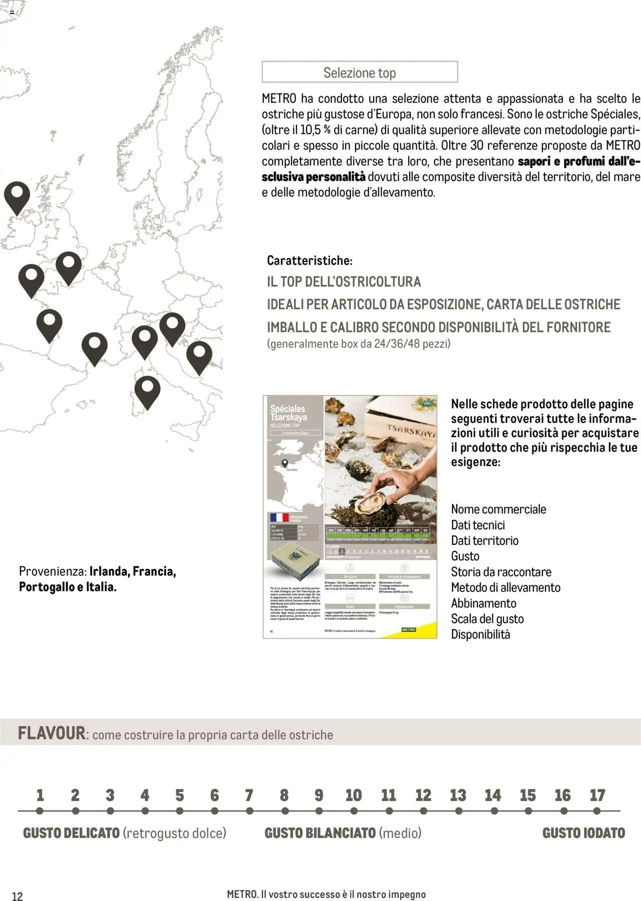 Metro Ostriche catalogo (2025-06-17 - 2026-06-30)