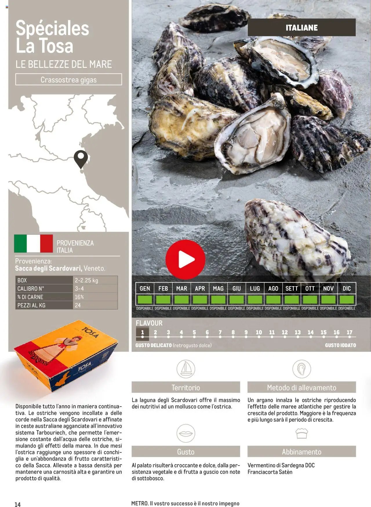 Metro Ostriche catalogo (2025-06-17 - 2026-06-30)