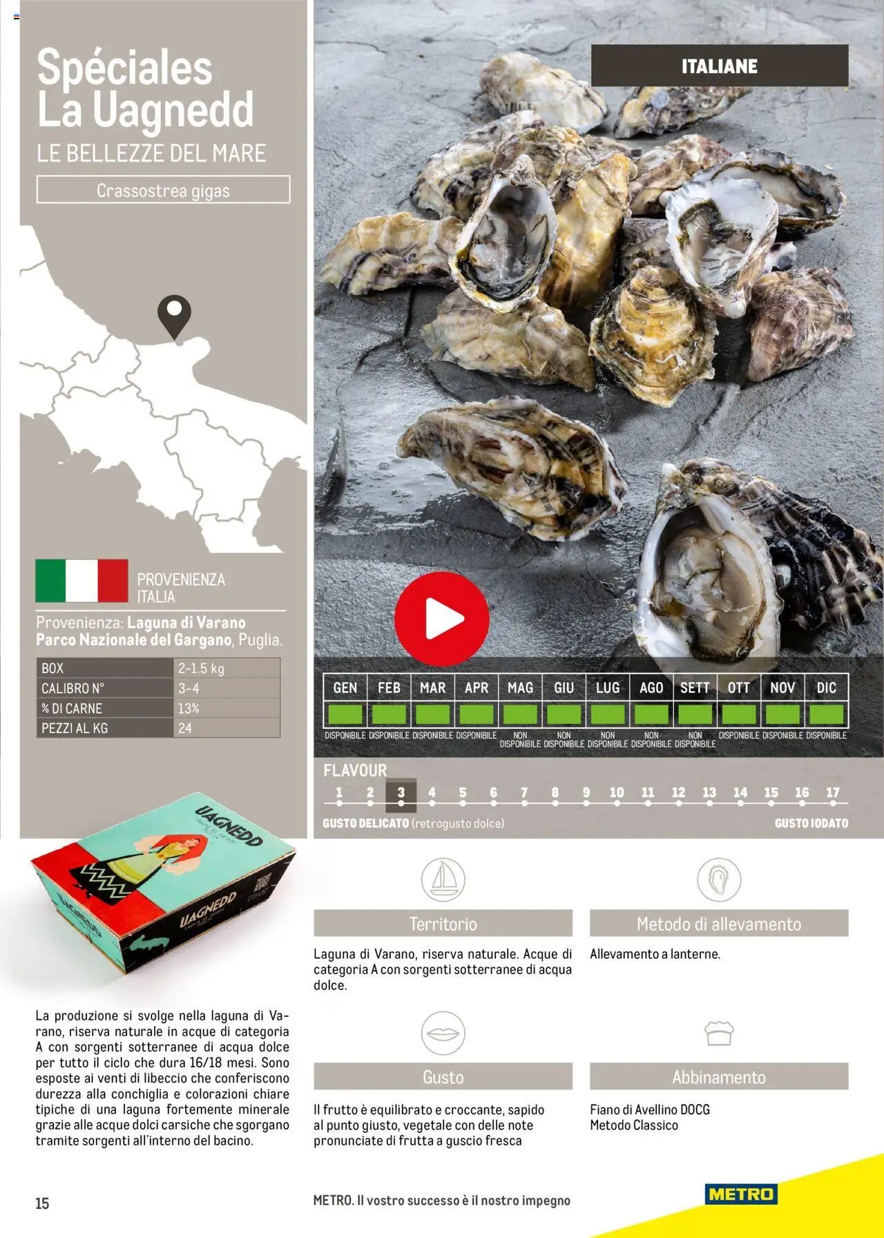 Metro Ostriche catalogo (2025-06-17 - 2026-06-30)