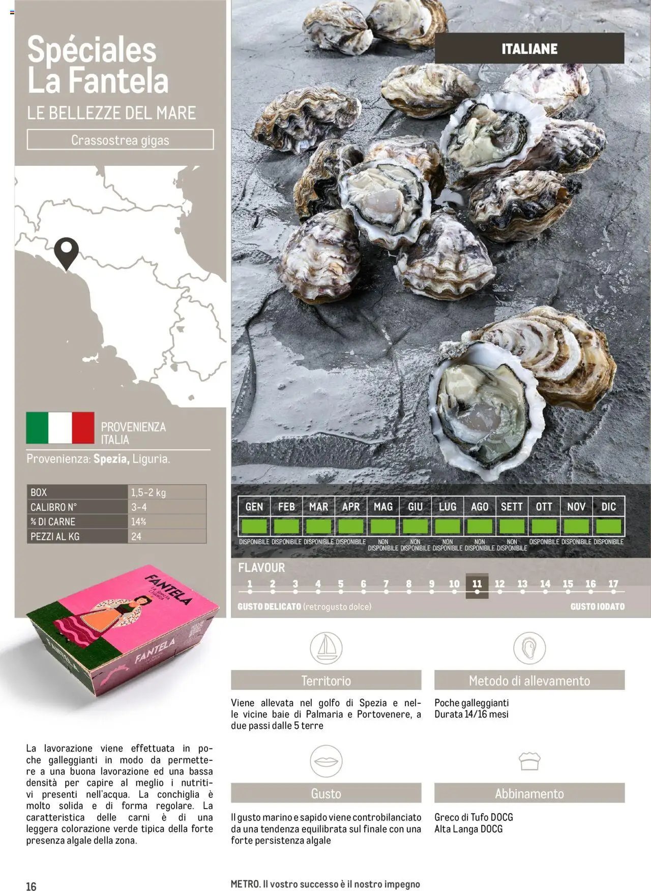 Metro Ostriche catalogo (2025-06-17 - 2026-06-30)