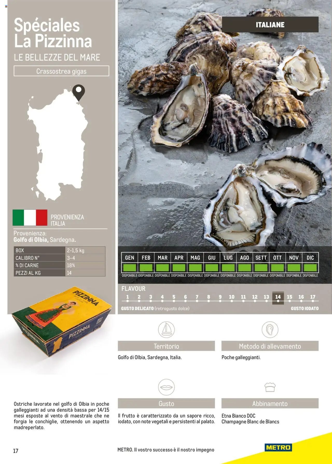 Metro Ostriche catalogo (2025-06-17 - 2026-06-30)