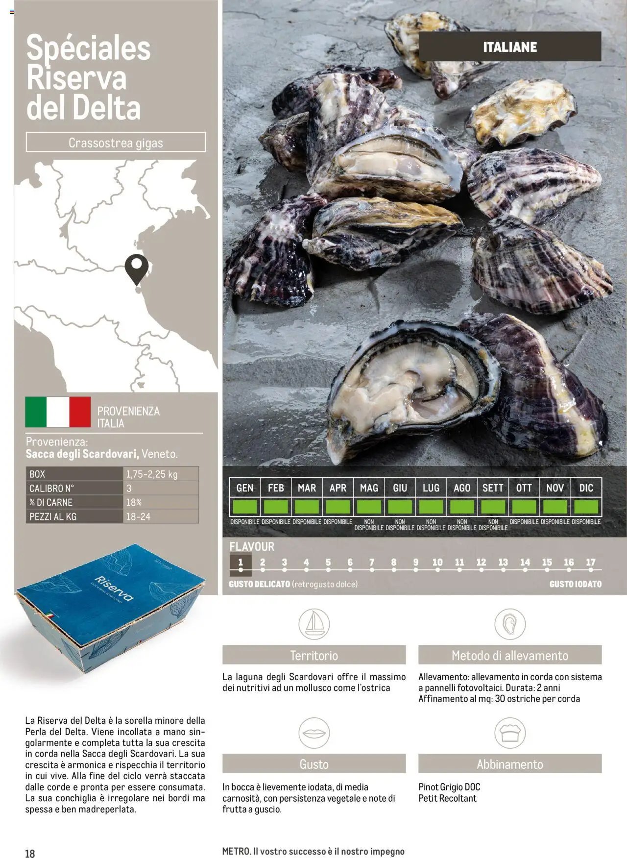 Metro Ostriche catalogo (2025-06-17 - 2026-06-30)