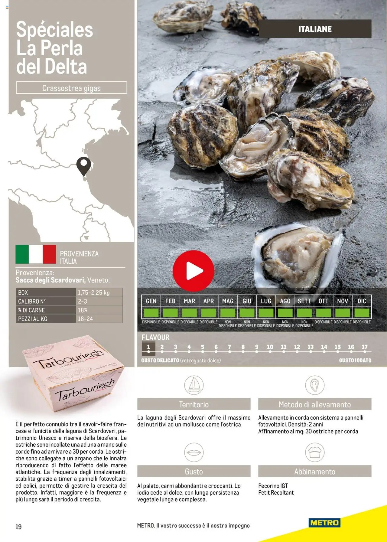Metro Ostriche catalogo (2025-06-17 - 2026-06-30)