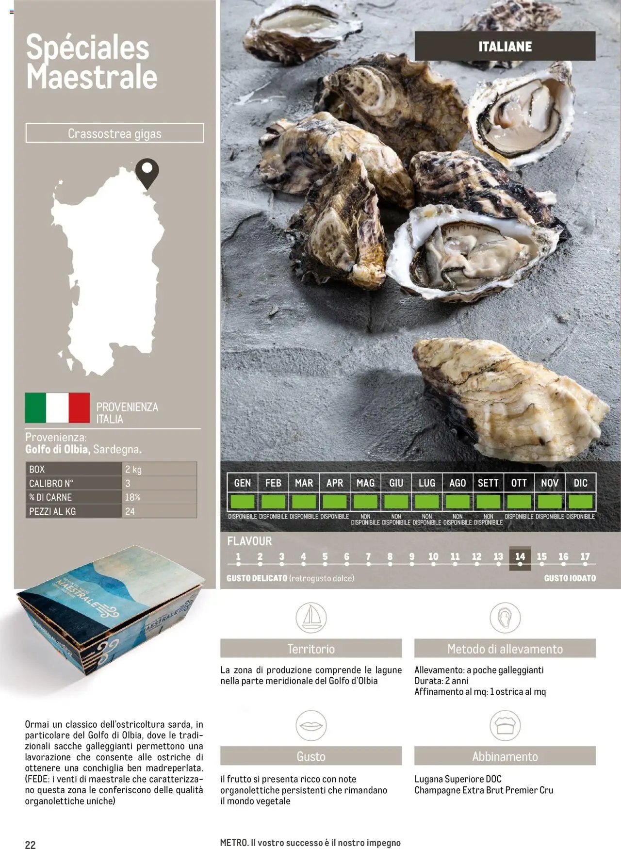 Metro Ostriche catalogo (2025-06-17 - 2026-06-30)
