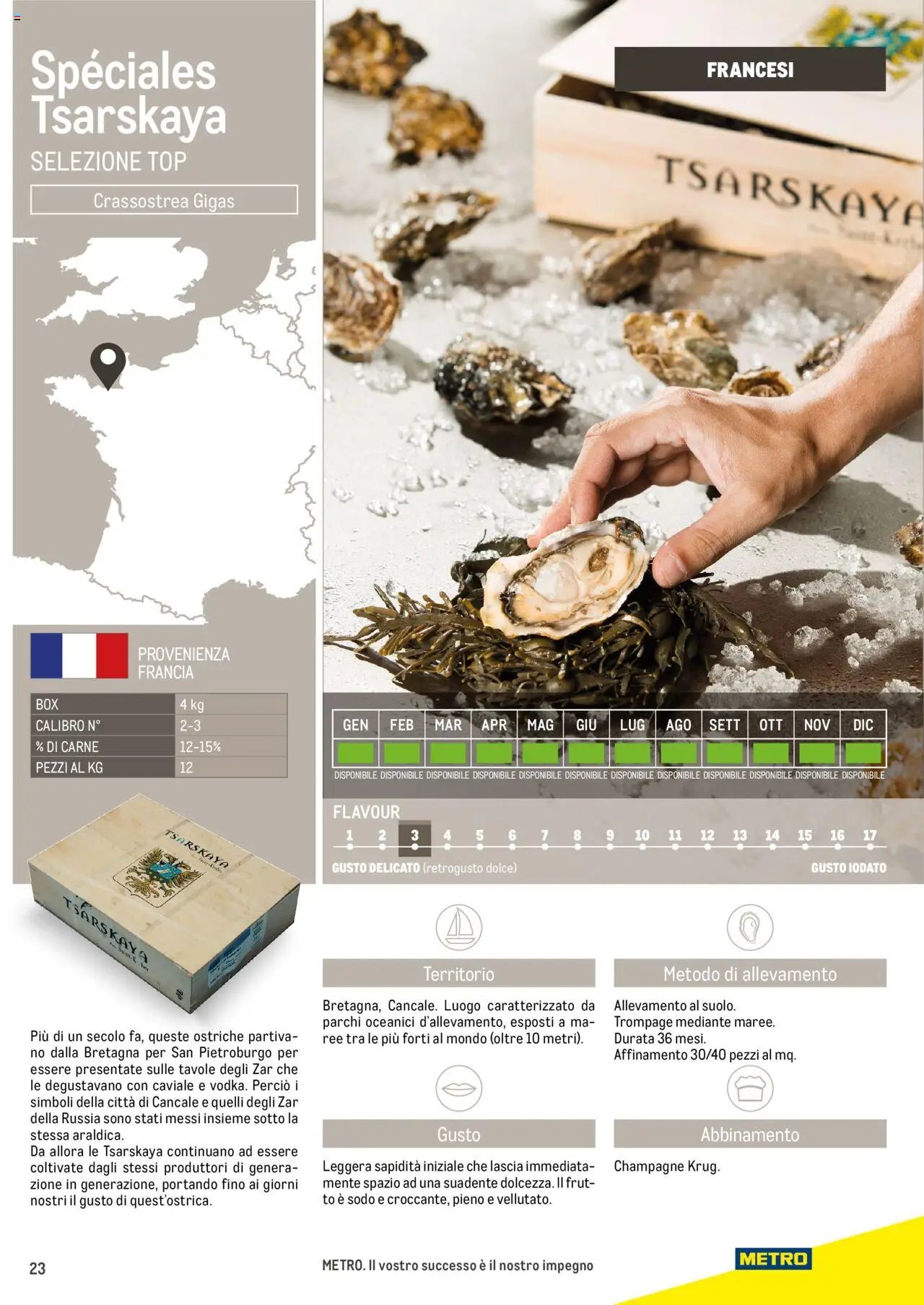 Metro Ostriche catalogo (2025-06-17 - 2026-06-30)