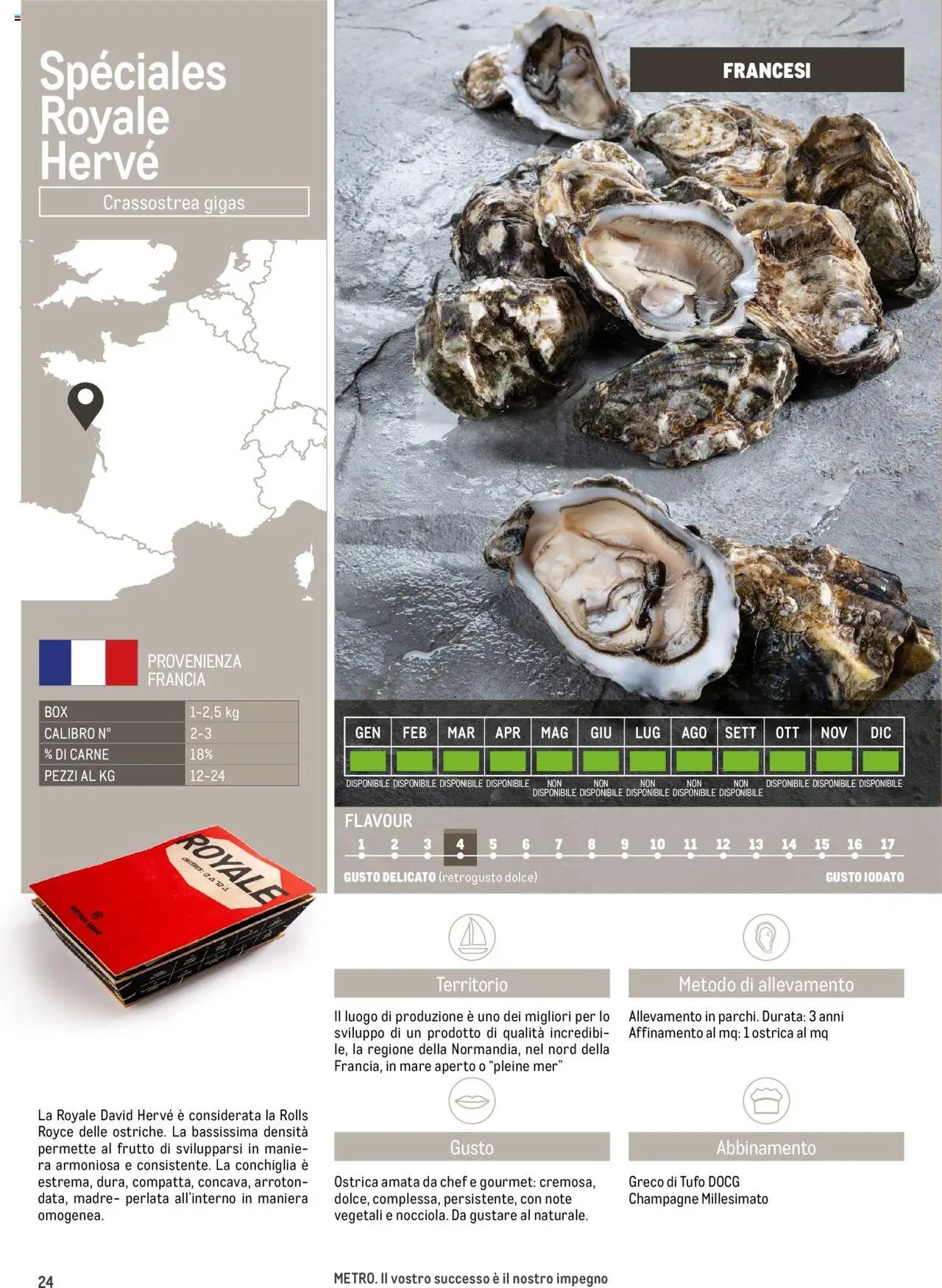 Metro Ostriche catalogo (2025-06-17 - 2026-06-30)