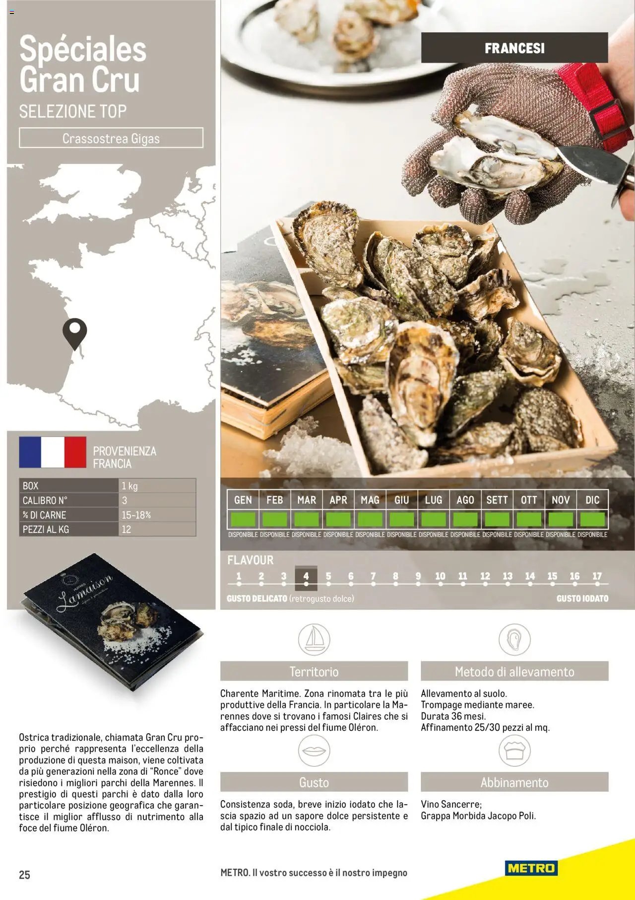 Metro Ostriche catalogo (2025-06-17 - 2026-06-30)