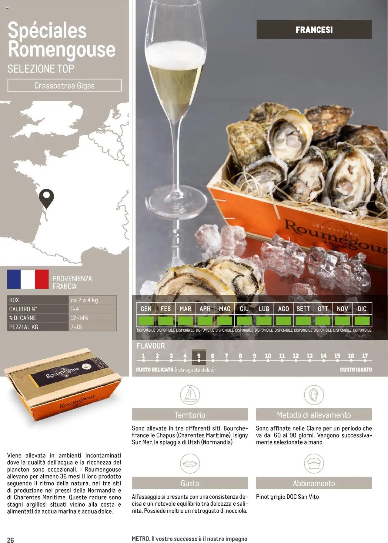 Metro Ostriche catalogo (2025-06-17 - 2026-06-30)