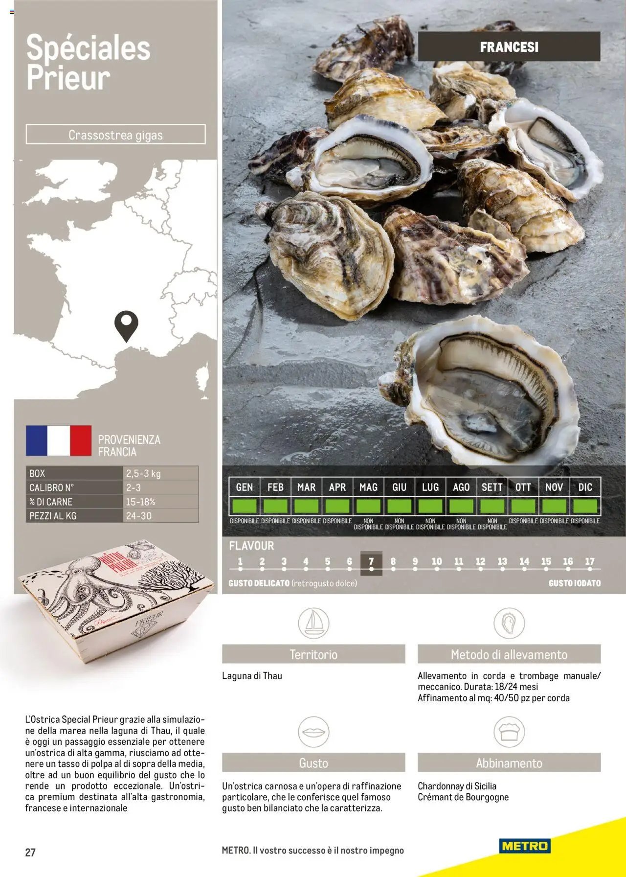 Metro Ostriche catalogo (2025-06-17 - 2026-06-30)
