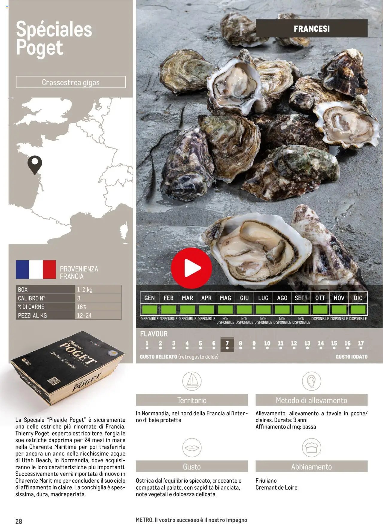 Metro Ostriche catalogo (2025-06-17 - 2026-06-30)