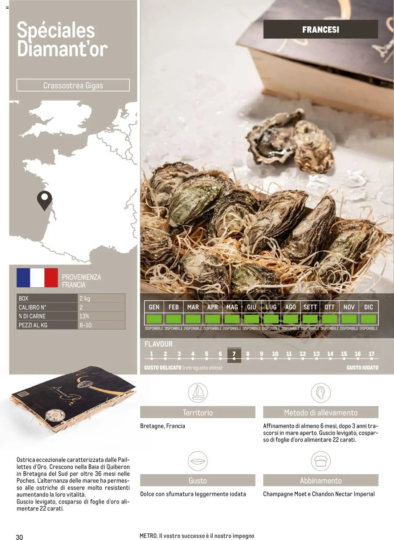 Metro Ostriche catalogo (2025-06-17 - 2026-06-30)