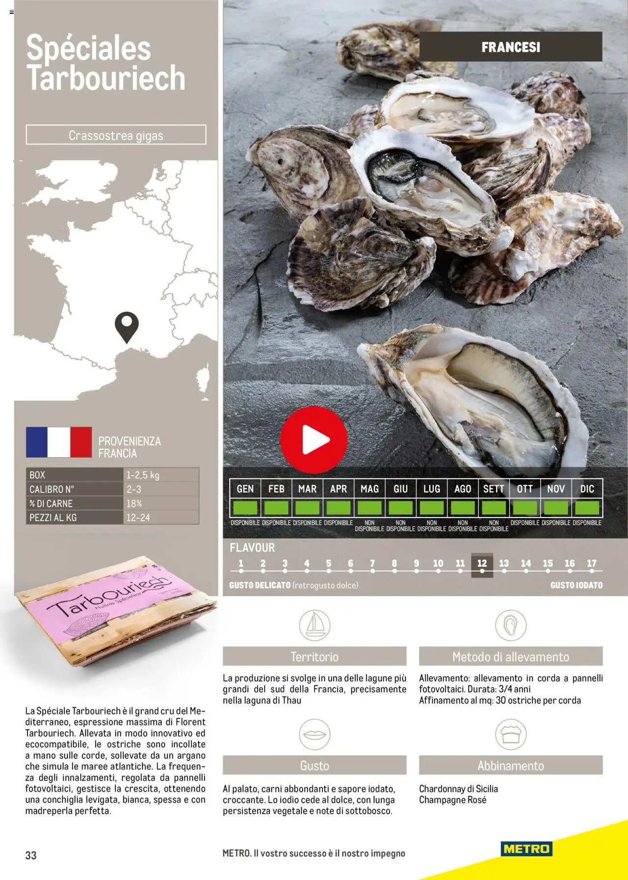 Metro Ostriche catalogo (2025-06-17 - 2026-06-30)