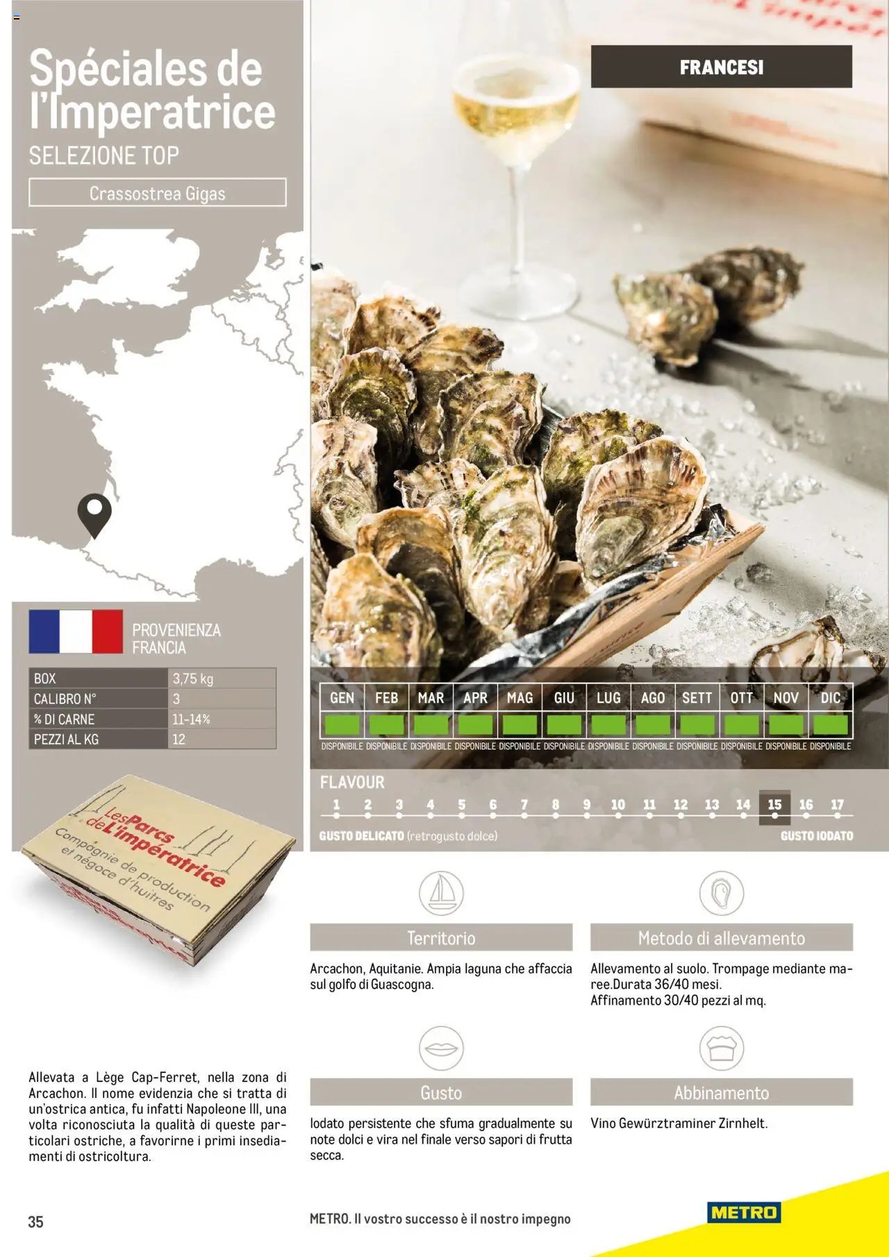 Metro Ostriche catalogo (2025-06-17 - 2026-06-30)