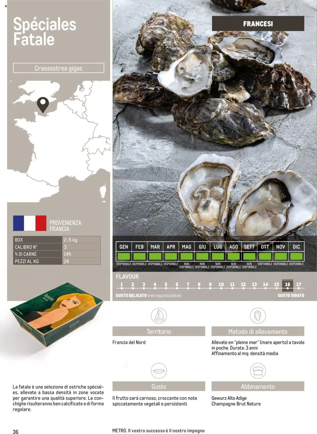 Metro Ostriche catalogo (2025-06-17 - 2026-06-30)