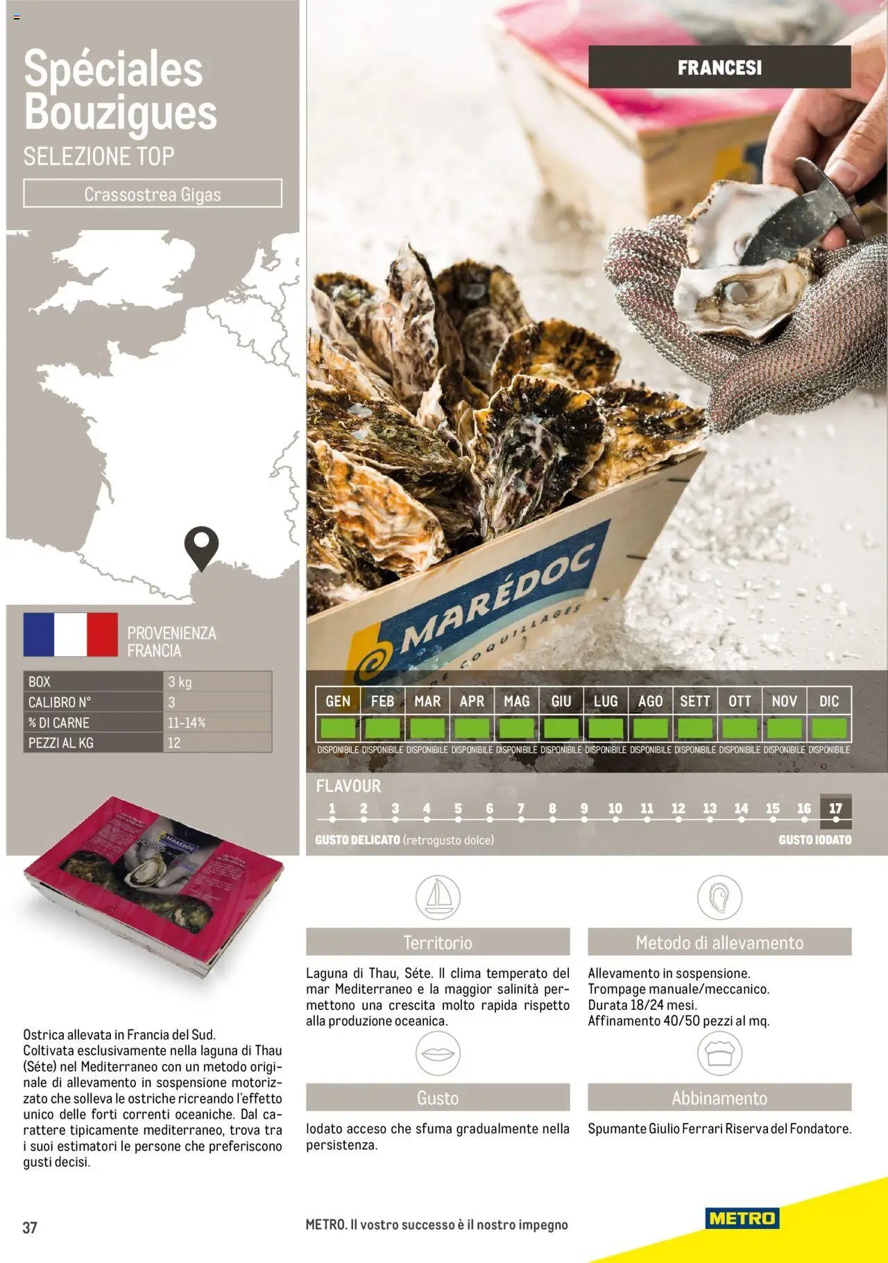 Metro Ostriche catalogo (2025-06-17 - 2026-06-30)