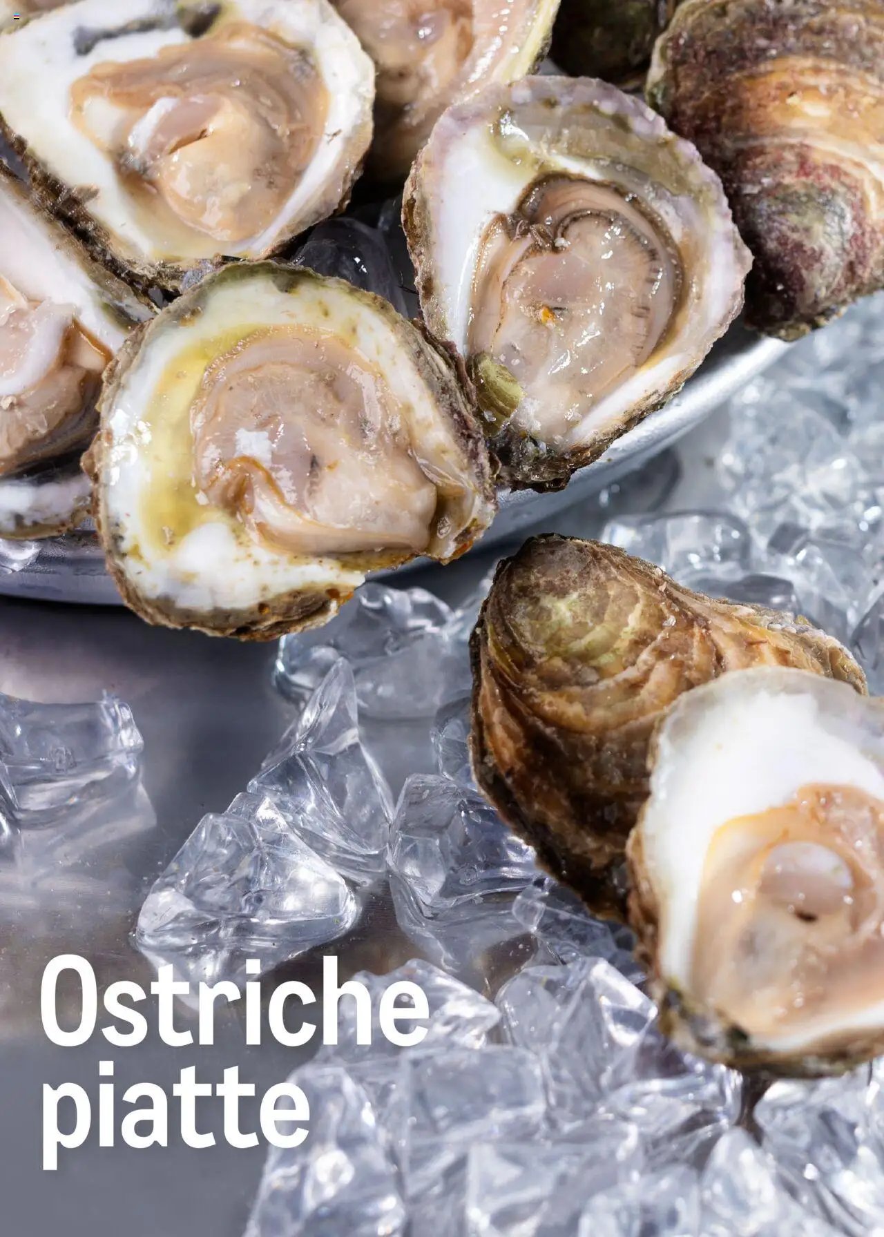 Metro Ostriche catalogo (2025-06-17 - 2026-06-30)