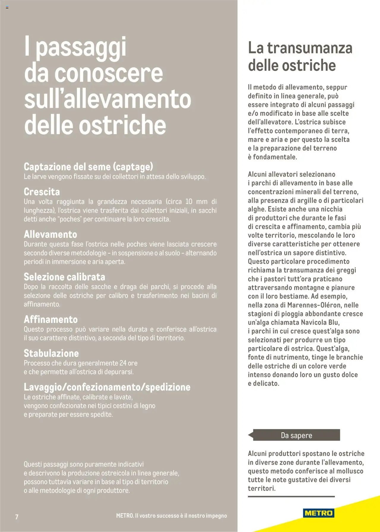 Metro Ostriche catalogo (2025-06-17 - 2026-06-30)