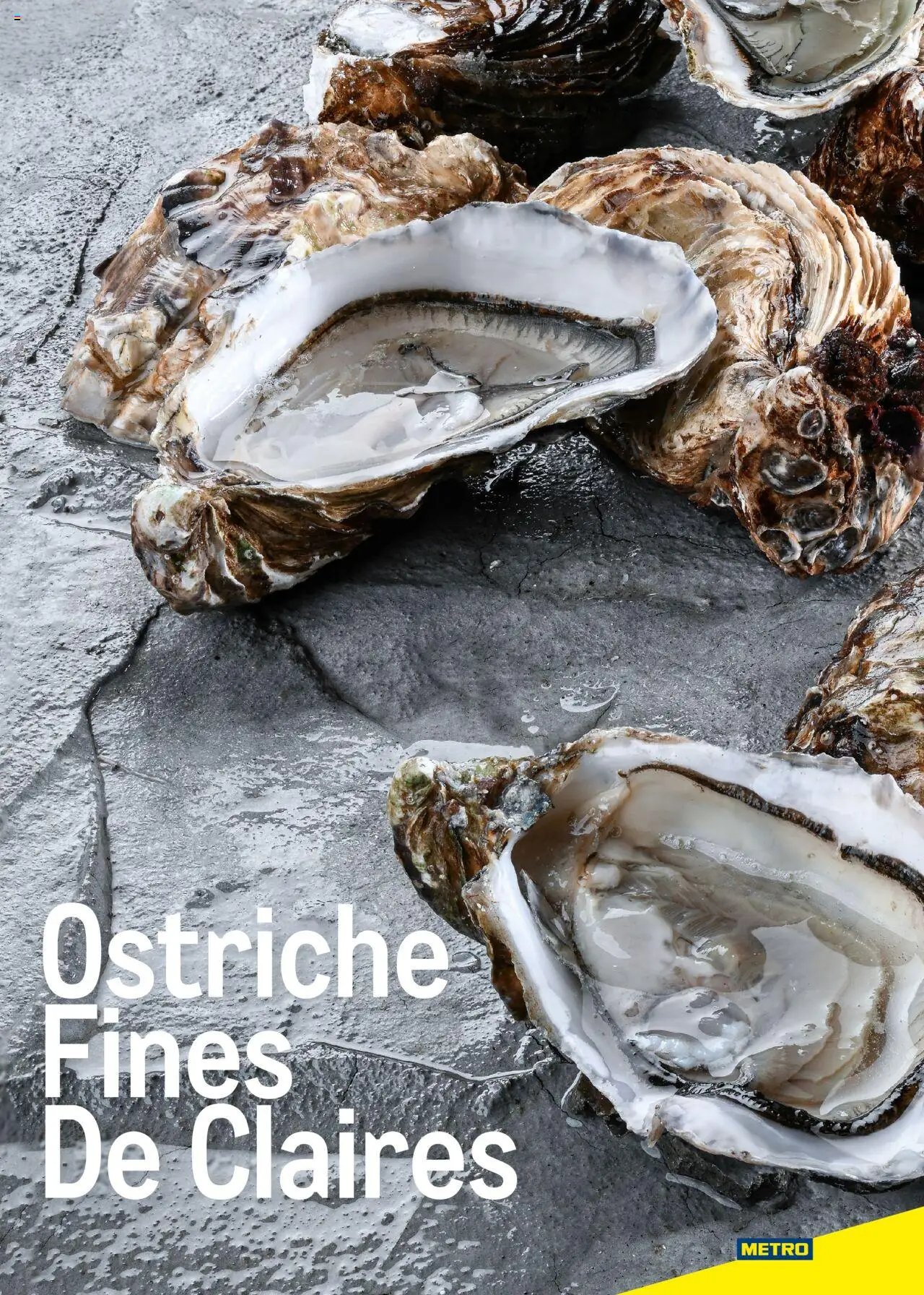 Metro Ostriche catalogo (2025-06-17 - 2026-06-30)