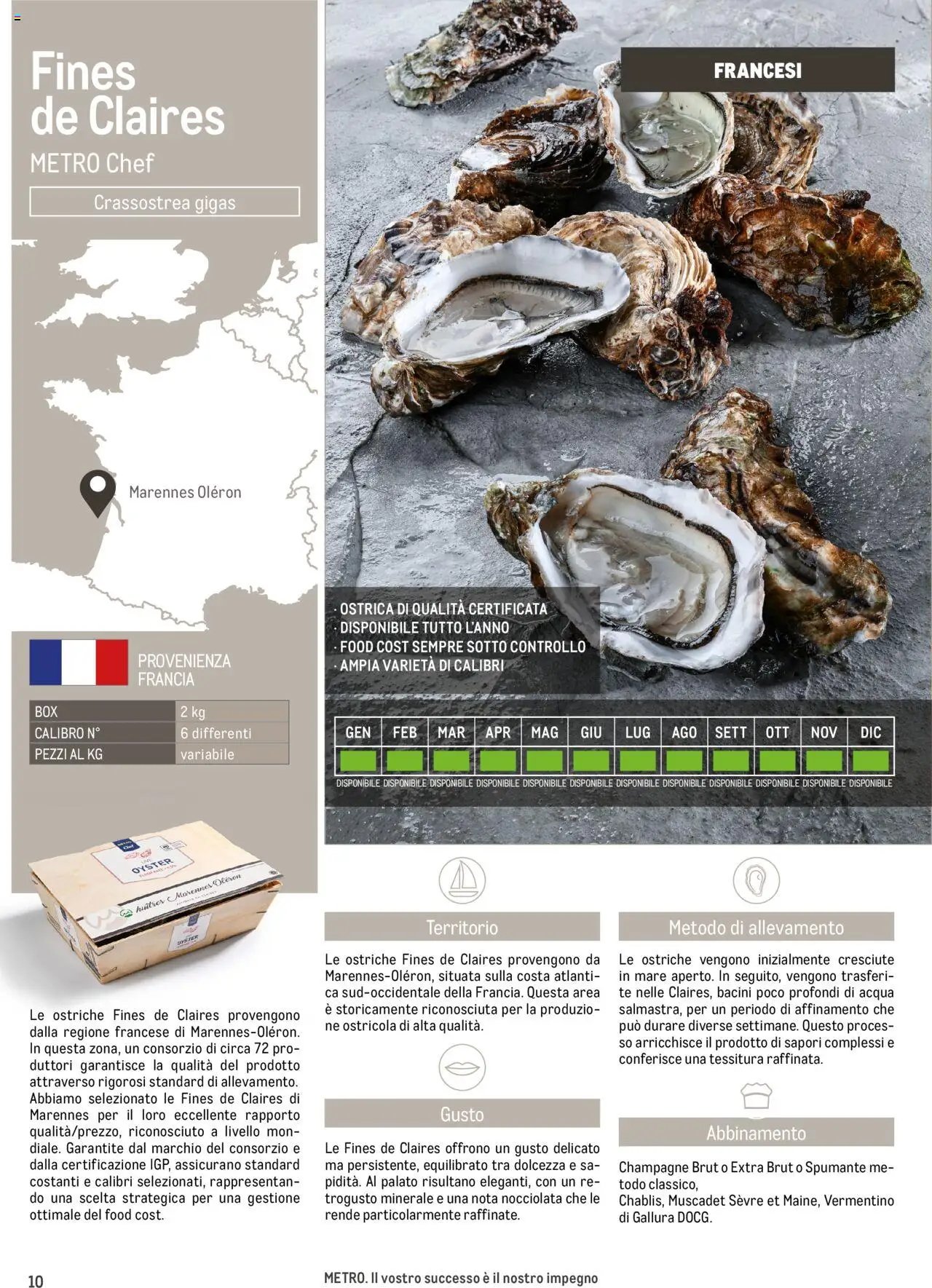 Metro Ostriche catalogo (2025-06-17 - 2026-06-30)