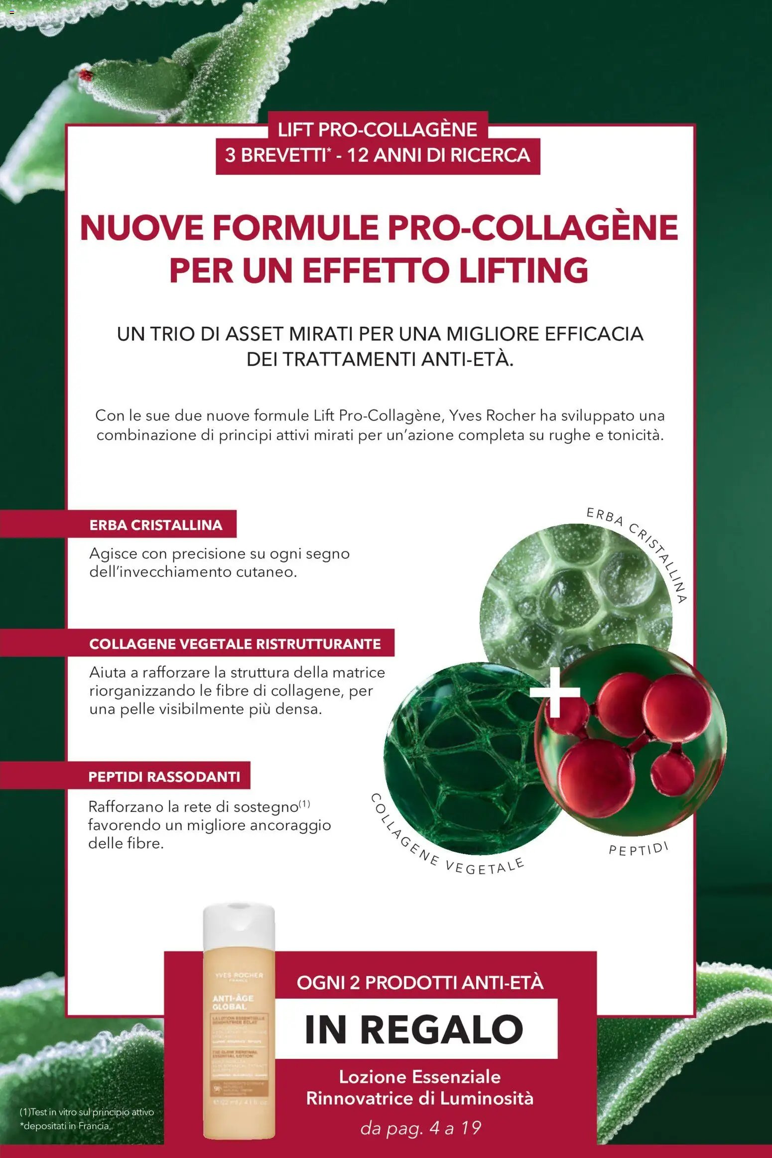 Yves Rocher catalogo 12