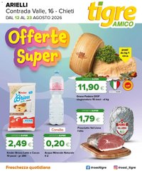 Tigre volantino Amico Arielli