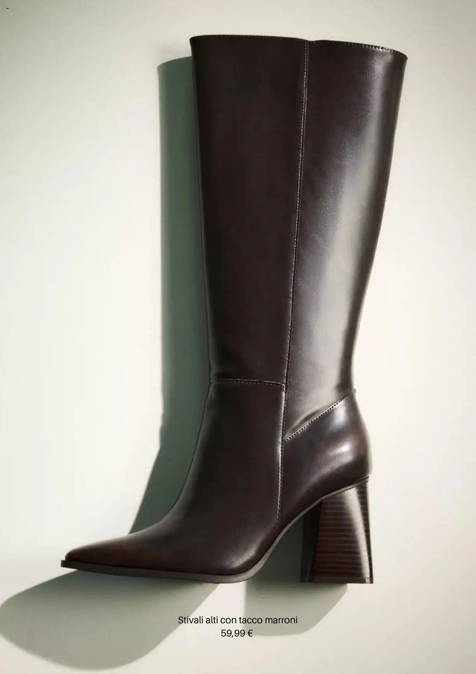 Volantino Stradivarius	 (2025-12-31 - 2026-01-31)