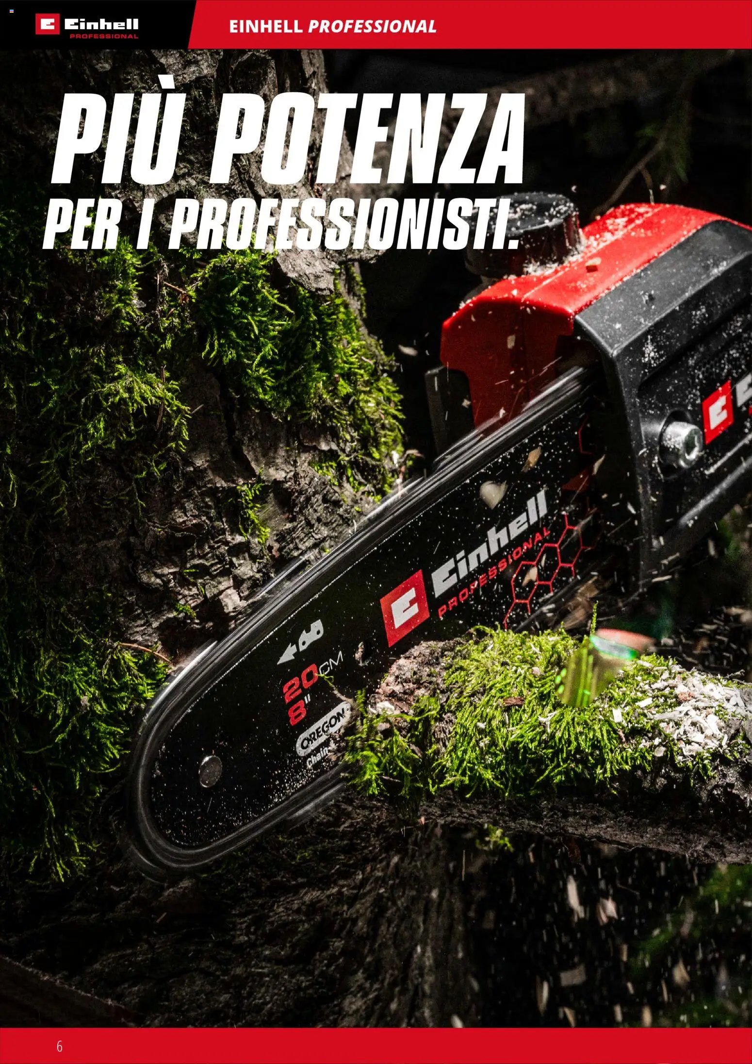 Einhell volantino Giardinaggio 2026 (2026-03-17 - 2026-12-31)
