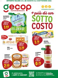 GECOP volantino