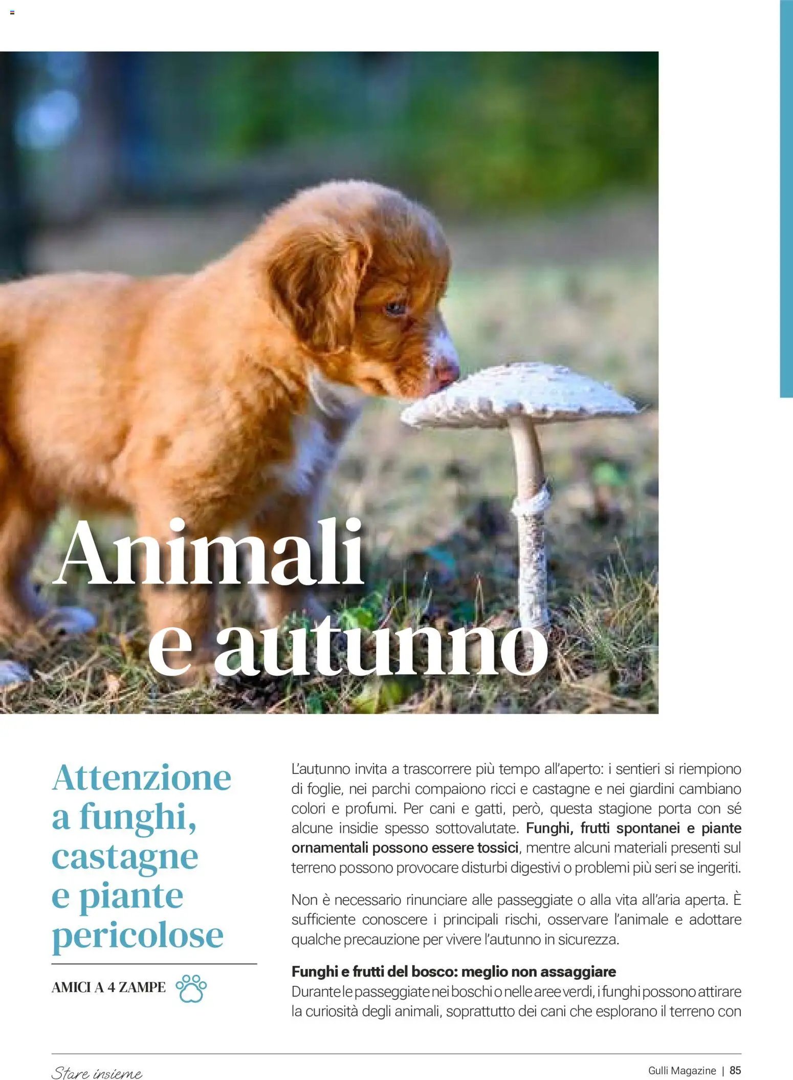 Gulliver volantino Ottobre